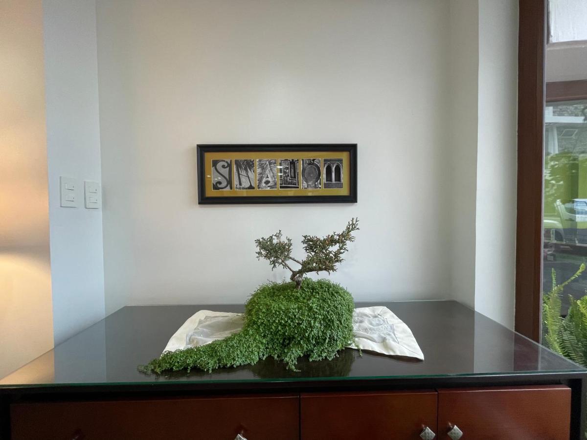 ריובמבה Hotel Shalom מראה חיצוני תמונה